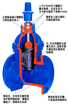 地下彈性座封閘閥（RVCX/SZ45X-16）解析圖